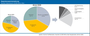 Gas Preiszusammenstellung Haushalt